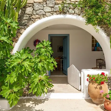 Afroditi Gerani A Panormos (Mykonos)